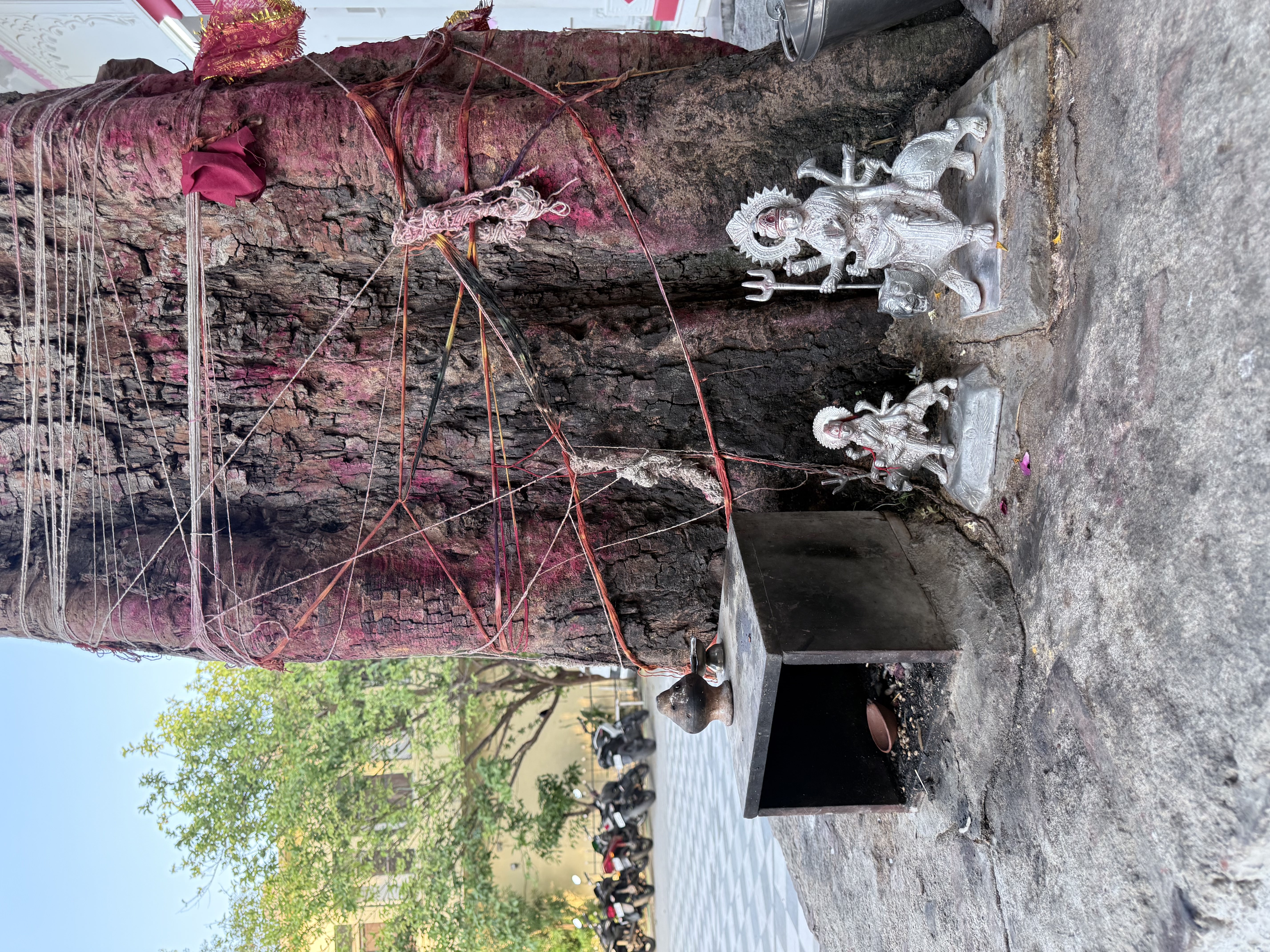 बाहरी परिसर